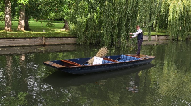 Sheaf spotted punting