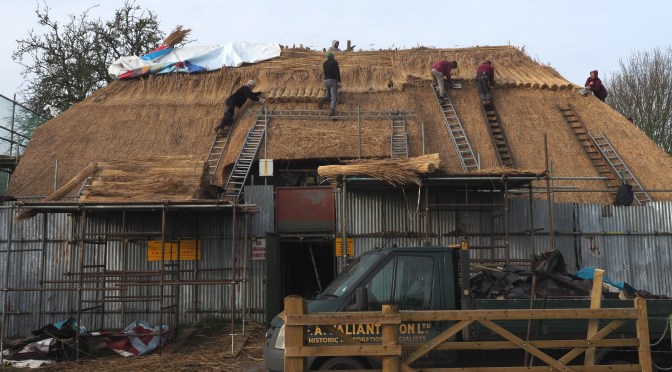 Have you met our carpenter & Thatcher yet?