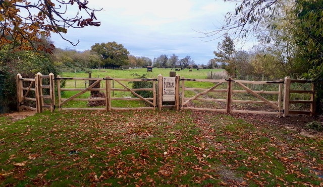 The tithe barn’s new gates – built by Westover Woodlands
